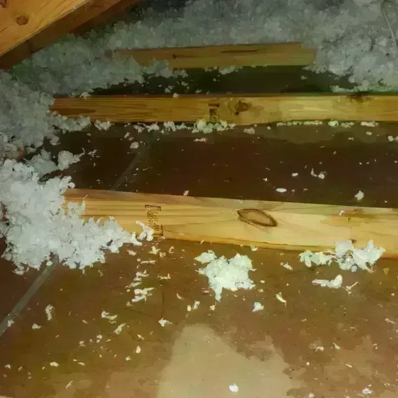 Attic Water Damage in Kirtland, NM