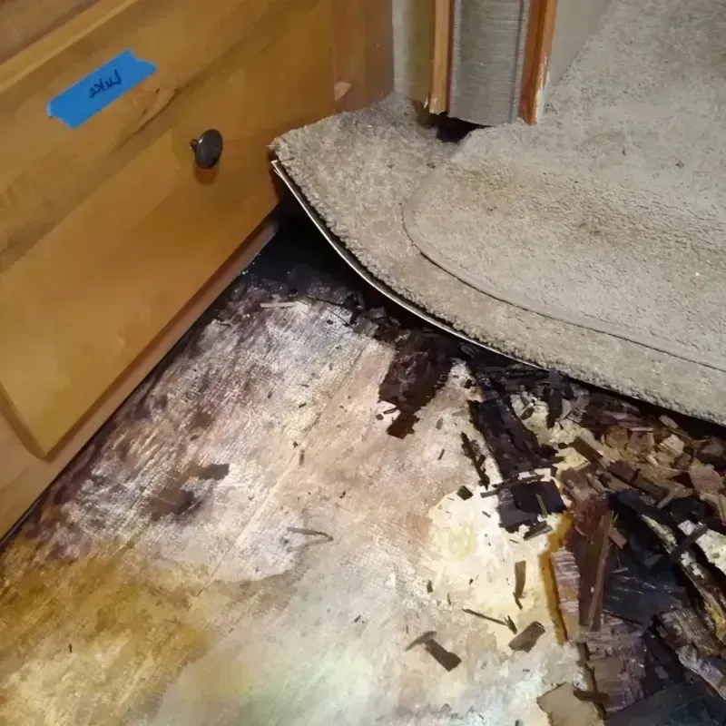 Best Wood Floor Water Damage Service in Kirtland, NM